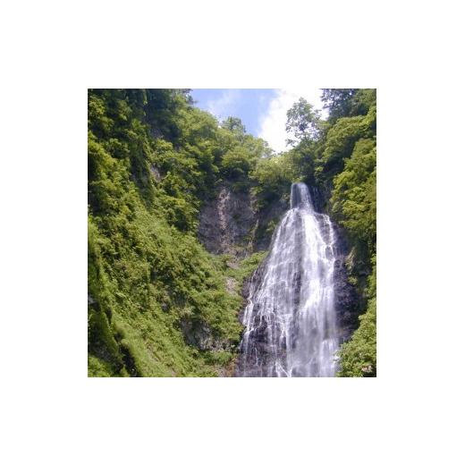 ふるさと納税 旅行 青森県 鰺ヶ沢町 青森県鰺ヶ沢町 世界自然遺産 白神山地トレッキングガイド 〜くろくまの滝コース〜 体験チケット
