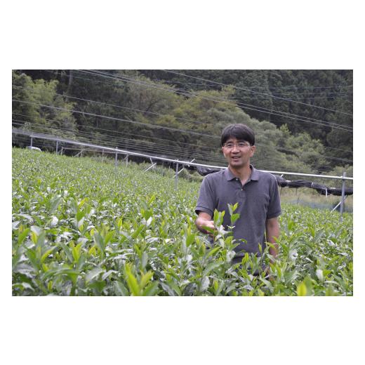 ふるさと納税 お茶類 緑茶（茶葉・ティーバッグ） 静岡県 川根本町 51-1 お茶 茶葉 静岡茶 川根茶／ 初摘み200ｇ缶3本詰合せ（ギフト包装）_3