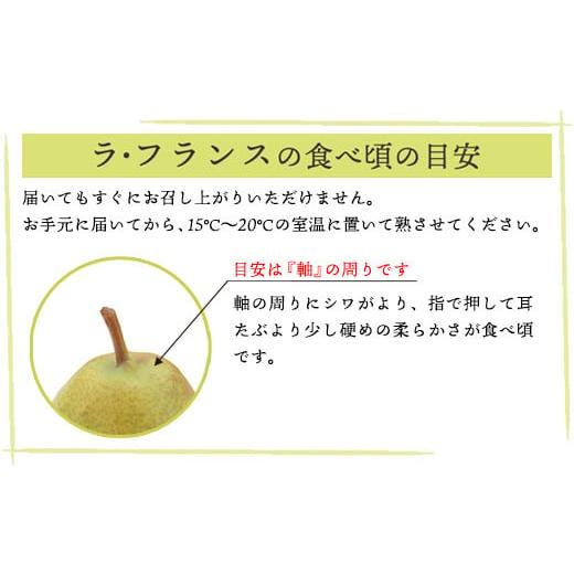 ふるさと納税 山形県 米沢市 《 先行予約 》【 令和6年産 】 ラ・フランス 2kg ( 約 5 〜 6 玉 ) 〔 2024年11月中旬頃 〜 お届け 〕 ラフランス 洋梨 2024年産…｜furusatochoice｜04