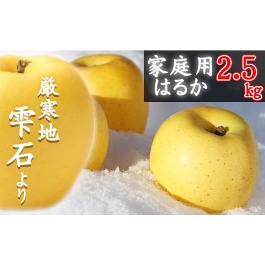 ふるさと納税 りんご 岩手県 雫石町 フルーツ大国 岩手県産 家庭用 りんご はるか 2.5kg 谷地農園 林檎 リンゴ アップル ハルカ 果物 くだもの フルーツ 贈り…
