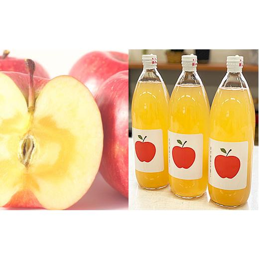 ふるさと納税 果汁飲料 りんご 山形県 山形市 山形市の完熟ふじ林檎だけで絞った 甘ーい りんごジュース FZ26-762