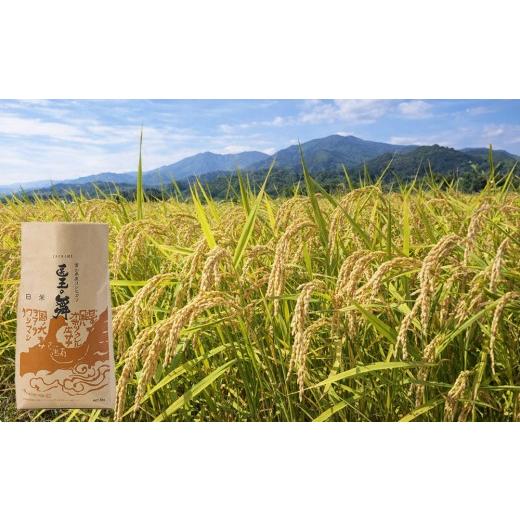 ふるさと納税 米 コシヒカリ 富山県 南砺市 富山県産コシヒカリ『医王の舞』白米5kg