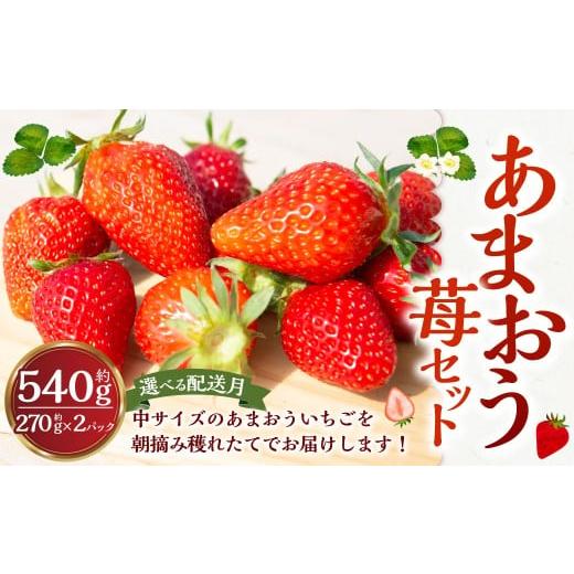 ふるさと納税 いちご 福岡県 うきは市 よかもんいちご あまおう苺セット2パック 2026年1月 発送予定 あまおう いちご イチゴ 苺 よかもん苺 朝摘み 穫れたて …