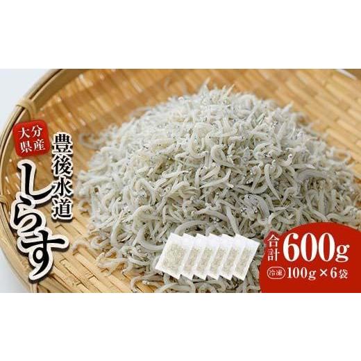 ふるさと納税 大分県 佐伯市 豊後水道産 しらす (合計600g・100g×6袋) 冷凍 しらす しらす丼[CT09][ (有)高橋商店]