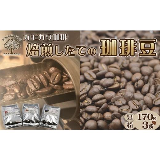 ふるさと納税 コーヒー コーヒー豆 千葉県 鴨川市 カモガワ珈琲 焙煎したてのコーヒー豆 3種(170g×3袋)[粉] 0016-0022 焙煎したての珈琲豆 170g×3…
