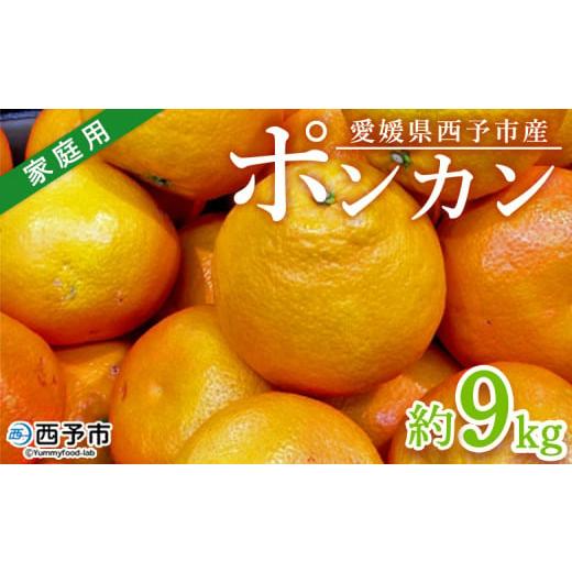 ふるさと納税 果物類 みかん 愛媛県 西予市 愛媛県西予市産 ポンカン 約9kg 家庭用 訳あり ワケアリ 果物 くだもの ミカン 蜜柑 柑橘 ぽんかん おいしい フル…