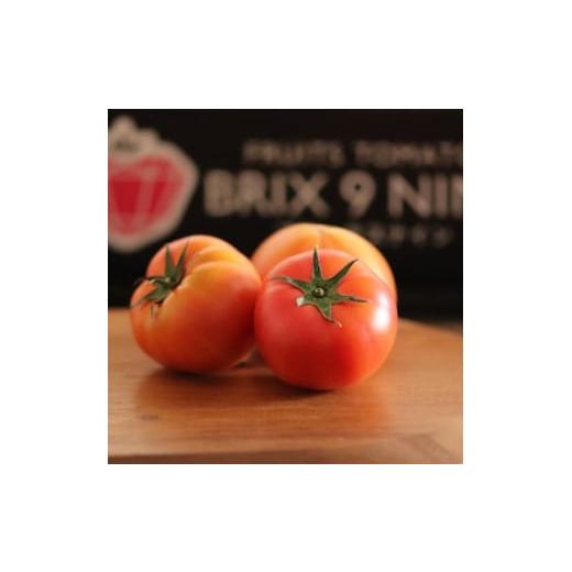 ふるさと納税 群馬県 太田市 ＜令和6年3月発送開始＞糖度9度以上!赤い宝石のようなフルーツトマト　ブリックスナイントマト2ケース【1210033】 