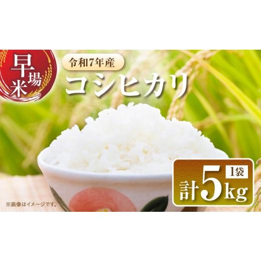 ふるさと納税 米 コシヒカリ 宮崎県 日南市 2週間以内に発送 早場米 令和7年産 コシヒカリ 計5kg 米 期間限定 日南市産 お米 ご飯 ライス 国産 人気 食品 精米…