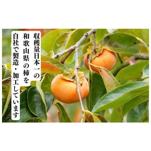 ふるさと納税 果物類 柿 和歌山県 有田川町 ドライフルーツ 柿チップ 800g ( 40g × 20袋 ) 和歌山県産 果物使用 自社製造 みかんの会 |  | 03