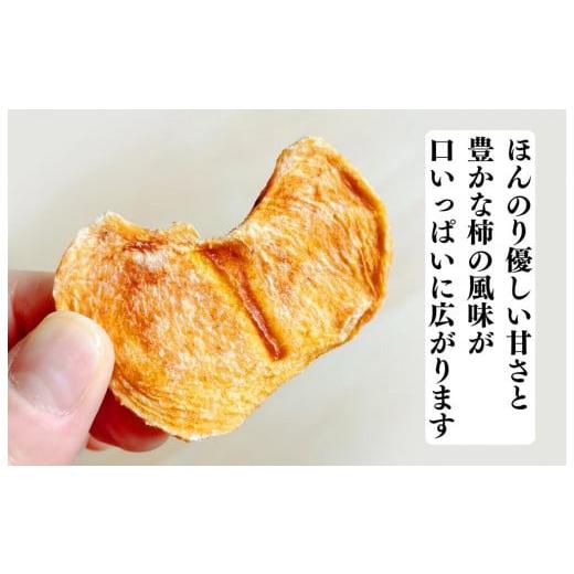 ふるさと納税 果物類 柿 和歌山県 有田川町 ドライフルーツ 柿チップ 800g ( 40g × 20袋 ) 和歌山県産 果物使用 自社製造 みかんの会 |  | 04