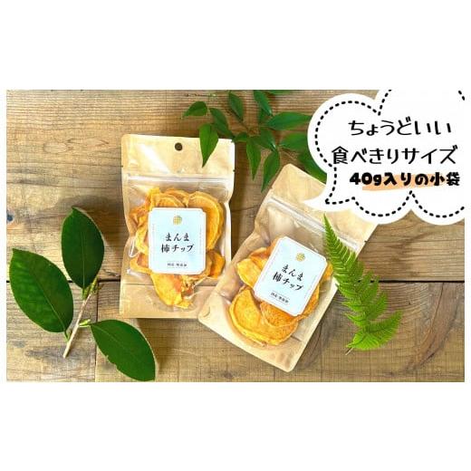 ふるさと納税 果物類 柿 和歌山県 有田川町 ドライフルーツ 柿チップ 800g ( 40g × 20袋 ) 和歌山県産 果物使用 自社製造 みかんの会 |  | 05