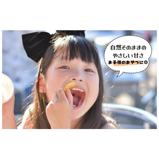 ふるさと納税 果物類 柿 和歌山県 有田川町 ドライフルーツ 柿チップ 800g ( 40g × 20袋 ) 和歌山県産 果物使用 自社製造 みかんの会 |  | 06