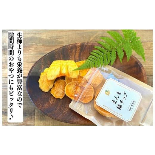 ふるさと納税 果物類 柿 和歌山県 有田川町 ドライフルーツ 柿チップ 800g ( 40g × 20袋 ) 和歌山県産 果物使用 自社製造 みかんの会 |  | 07