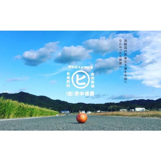 ふるさと納税 野菜類 玉ねぎ 兵庫県 南あわじ市 淡路島産玉葱 うずしお追熟甘玉ねぎ 10kg 追熟甘玉ねぎ 10kgの画像