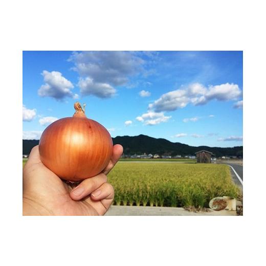 ふるさと納税 野菜類 玉ねぎ 兵庫県 南あわじ市 淡路島産玉葱 うずしお追熟甘玉ねぎ 10kg 追熟甘玉ねぎ 10kgの画像