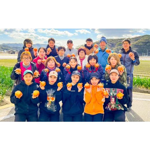 ふるさと納税 野菜類 玉ねぎ 兵庫県 南あわじ市 淡路島産玉葱 うずしお追熟甘玉ねぎ 5kg 追熟甘玉ねぎ 5kgの画像