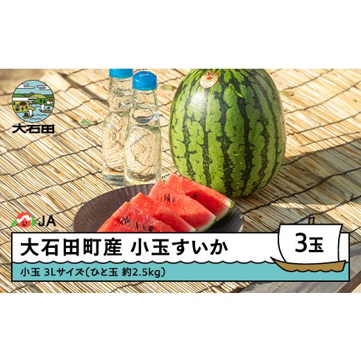 ふるさと納税 スイカ 山形県 大石田町 先行予約 小玉すいか 3L×3玉