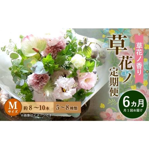 ふるさと納税 雑貨・日用品 花 福岡県 直方市 定期便 6ヶ月 草花ノ定期便 Mサイズ 5〜8種類 約8〜10本_1