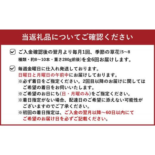 ふるさと納税 雑貨・日用品 花 福岡県 直方市 定期便 6ヶ月 草花ノ定期便 Mサイズ 5〜8種類 約8〜10本_5