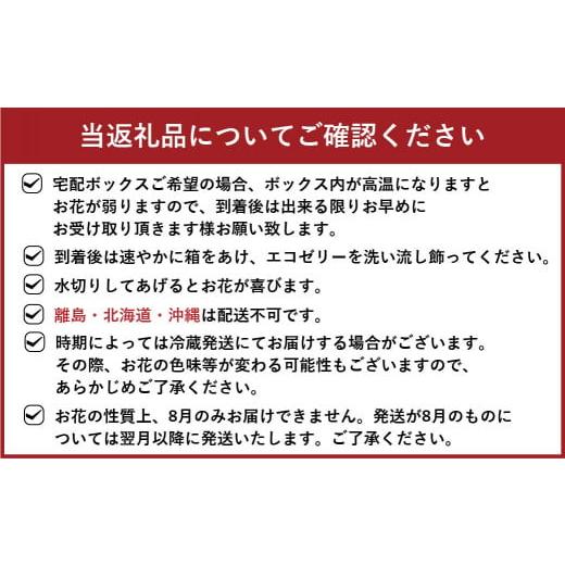 ふるさと納税 雑貨・日用品 花 福岡県 直方市 定期便 6ヶ月 草花ノ定期便 Mサイズ 5〜8種類 約8〜10本_6