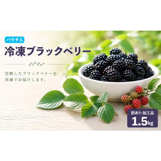 ふるさと納税 果物類 高知県 佐川町 加工用・訳あり 冷凍ブラックベリー約1.5kg ふるーつ fruit ヒロの果樹園からMIYAMOTOFARM が受け継ぎました フルーツ フ…