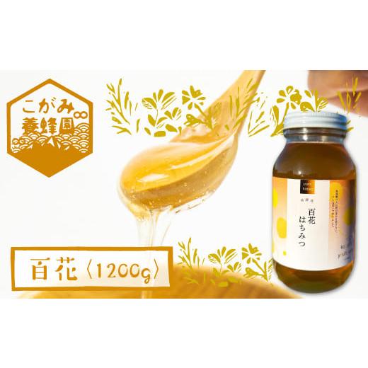 ふるさと納税 加工品等 はちみつ 岐阜県 飛騨市 飛騨産 生蜂蜜 百花蜜 1200g 国産無添加 百花 はちみつ ギフト ハニー 非加熱の画像