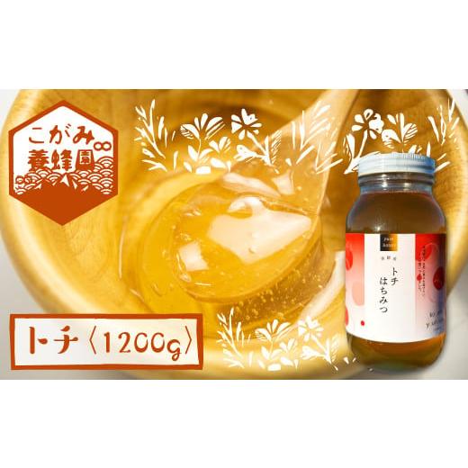 ふるさと納税 加工品等 はちみつ 岐阜県 飛騨市 飛騨産 生蜂蜜 トチ蜜 1200g 国産無添加 とち蜜 はちみつ ギフト ハニー 非加熱_1