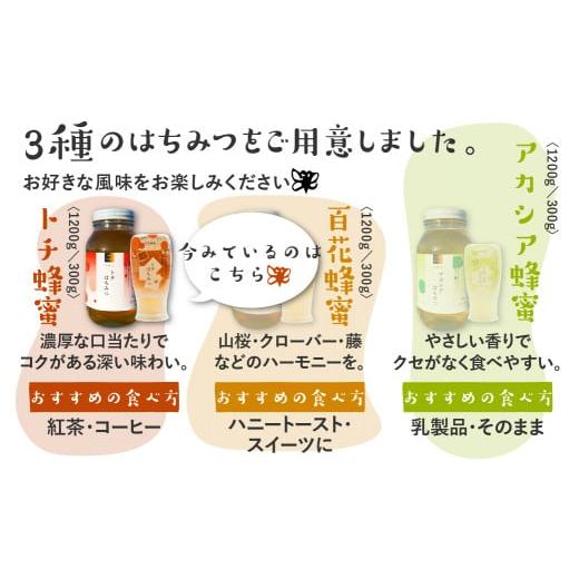 ふるさと納税 加工品等 はちみつ 岐阜県 飛騨市 飛騨産 生蜂蜜 トチ蜜 1200g 国産無添加 とち蜜 はちみつ ギフト ハニー 非加熱_2