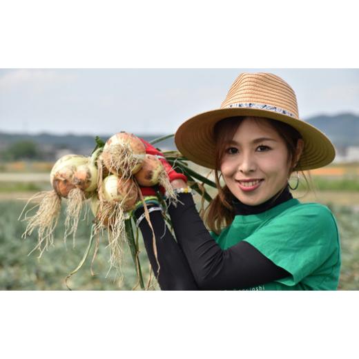 ふるさと納税 野菜類 玉ねぎ 兵庫県 南あわじ市  新玉予約 淡路島玉ねぎ とれたて完熟 新玉ちゃん 10kg ひょうご安心ブランド取得   配送5月上旬〜6月上旬 新…の画像