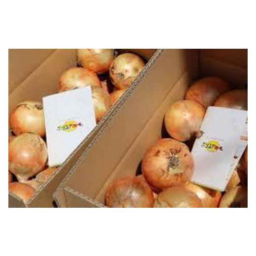 ふるさと納税 野菜類 玉ねぎ 兵庫県 南あわじ市  新玉予約 淡路島玉ねぎ とれたて完熟 新玉ちゃん 10kg ひょうご安心ブランド取得   配送5月上旬〜6月上旬 新…の画像