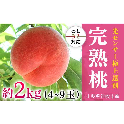 ふるさと納税 もも 山梨県 笛吹市  2026年発送 先行予約 笛吹市産こだわりの桃 約2.0kg(4〜9玉) 常温 090-010-26y ｜もも 桃 発送 丸章青果 糖度センサー 高糖…の画像