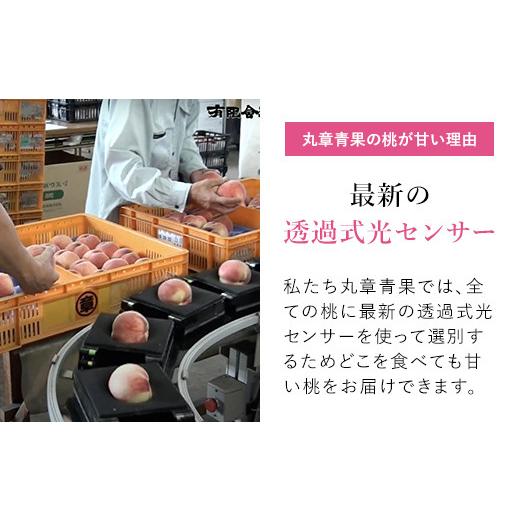 ふるさと納税 もも 山梨県 笛吹市  2026年発送 先行予約 笛吹市産こだわりの桃 約2.0kg(4〜9玉) 常温 090-010-26y ｜もも 桃 発送 丸章青果 糖度センサー 高糖…の画像