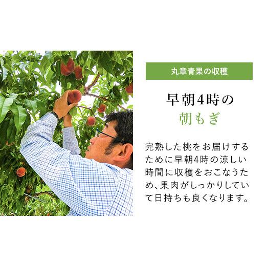 ふるさと納税 もも 山梨県 笛吹市  2026年発送 先行予約 笛吹市産こだわりの桃 約2.0kg(4〜9玉) 常温 090-010-26y ｜もも 桃 発送 丸章青果 糖度センサー 高糖…の画像