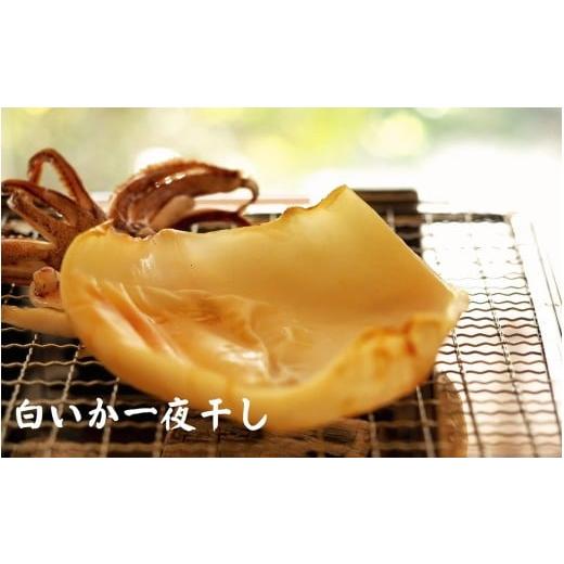 ふるさと納税 魚貝類 のどぐろ 島根県 浜田市  定期便 山陰浜田港四季の味わい のどぐろ付きアラカルト（年6回奇数月発送コース） 魚 のどぐろ アカムツ 一夜…_4