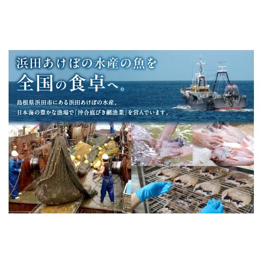 ふるさと納税 魚貝類 のどぐろ 島根県 浜田市  定期便 山陰浜田港四季の味わい のどぐろ付きアラカルト（年6回奇数月発送コース） 魚 のどぐろ アカムツ 一夜…_7