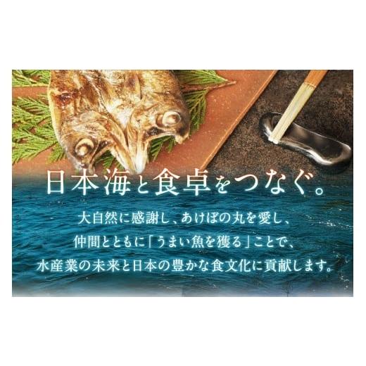 ふるさと納税 魚貝類 のどぐろ 島根県 浜田市  定期便 山陰浜田港四季の味わい のどぐろ付きアラカルト（年6回奇数月発送コース） 魚 のどぐろ アカムツ 一夜…_8