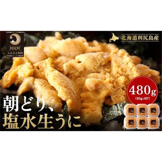 ふるさと納税 ウニ 北海道 利尻町 2026年発送受付 利尻島産「朝どり」塩水生うに480g (80g×6) 天然キタムラサキウニ 6~8月発送分 |北海道 朝獲れ 塩水 ウニ…