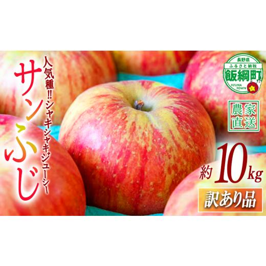 ふるさと納税 りんご 長野県 飯綱町 りんご サンふじ 訳あり 10kg 永正の地蔵尊神谷農園 2026年12月上旬頃から2027年3月上旬頃まで順次発送予定 令和8年度収穫…