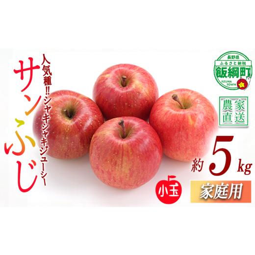 ふるさと納税 りんご 長野県 飯綱町 りんご サンふじ 家庭用 ( 小玉 ) 5kg 永正の地蔵尊神谷農園 沖縄県への配送不可 2027年1月上旬頃から2027年3月上旬頃まで…
