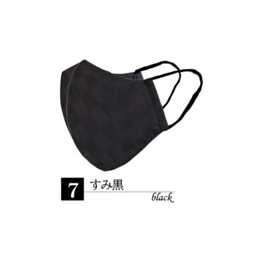 ふるさと納税 雑貨・日用品 福井県 坂井市 N95級ウイルス捕集率 ナノ×シルクマスク 5層構造 Lサイズ 1枚 すみ黒 A-9843_07 すみ黒