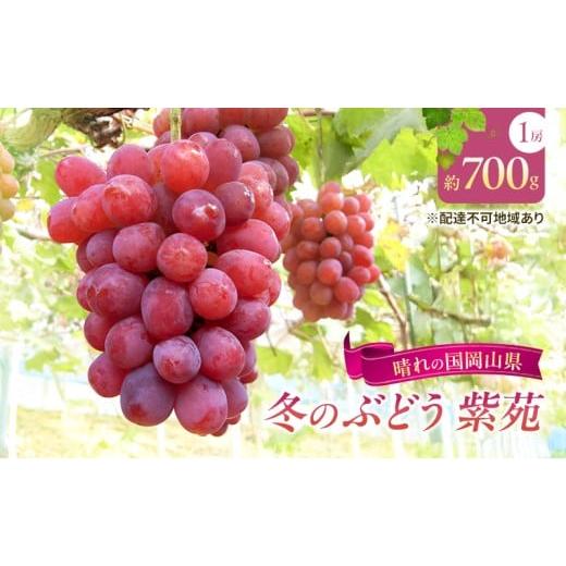 ふるさと納税 ぶどう 岡山県 里庄町 2026年先行予約 ぶどう 岡山県産 冬のぶどう 紫苑 ( 種無し )1房(約700g) [2026年10月中旬-11月上旬頃出荷] 葡萄 …