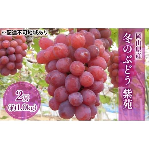ふるさと納税 ぶどう 岡山県 里庄町 2026年先行予約 ぶどう 岡山県産 冬のぶどう 紫苑 ( 種無し )約1.0kg(2房) [2026年10月中旬-11月上旬頃出荷] 葡萄 …