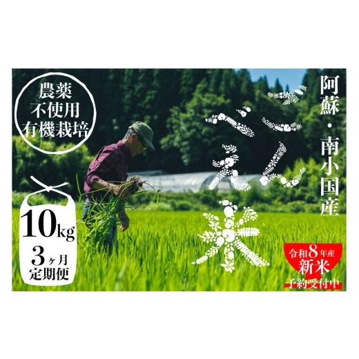 ふるさと納税 米 熊本県 南小国町 予約受付 3ヶ月定期便 令和8年産・新米 ごんべえ米 10kg 予約 3ヶ月 定期便 令和8年産 新米 白米 玄米 精米 米 お米 玄米対…