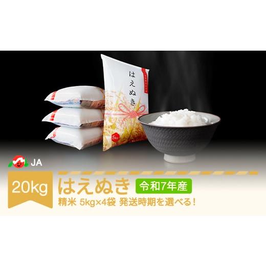 ふるさと納税 米 はえぬき 山形県 村山市 先行予約 新米 米 20kg 5kg×4 はえぬき 精米 令和7年産 2025年12月中旬 ja-haxxa20-s12b 2025年12月中旬