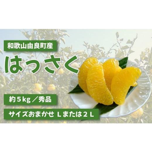 ふるさと納税 みかん・柑橘類 和歌山県 九度山町 和歌山由良町産さつきはっさく 約5kg 秀品 サイズおまかせ (Lまたは2Lいずれかお届け) [SL3]