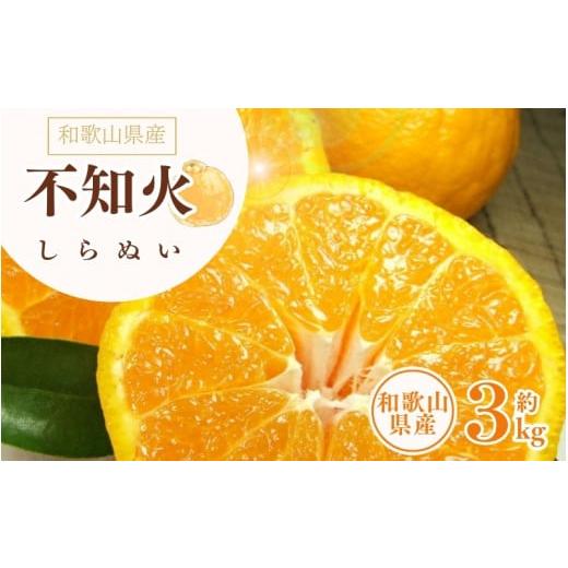 ふるさと納税 果物類 みかん 和歌山県 太地町 デコ不知火(デコポン) 約3kg/サイズおまかせ 2026年2月上旬〜2026年4月上旬頃に順次発送予定(お届け日指定…