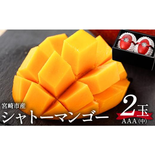 ふるさと納税 マンゴー 宮崎県 宮崎市 [2026年発送先行予約] 数量・期間限定 シャトーマンゴー(中) AAA 2玉_M126-010 103,000円 中サイズ