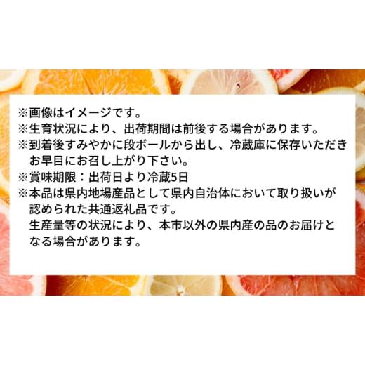 ふるさと納税 果物類 みかん 香川県 観音寺市 ハウス 小原紅早生 みかん 約1.2kg化粧箱 果物類 柑橘類 フルーツ |  | 03