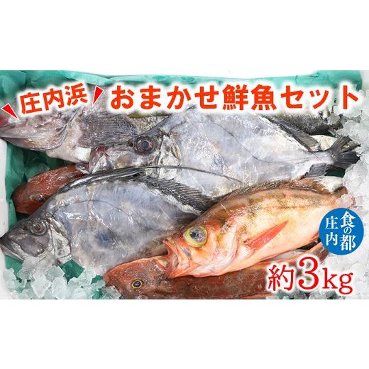 ふるさと納税 旬の鮮魚等 山形県 三川町 食の都庄内 庄内浜のおまかせ鮮魚セット約3kg