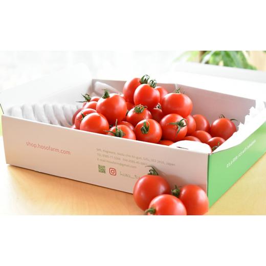 ふるさと納税 野菜類 トマト 岐阜県 池田町 細野ファームの中玉トマト フルティカ(1.5kg)  